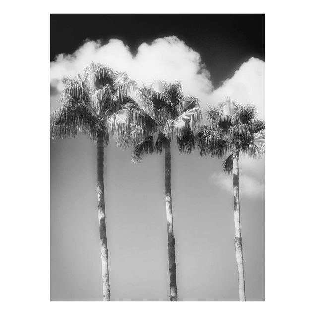 Glas Wandbilder Palmen vor Himmel Schwarz-Weiß