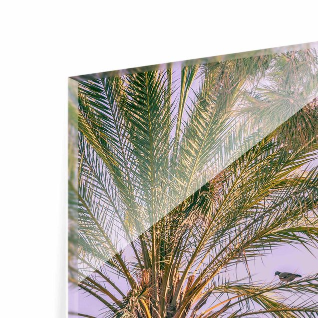 Glasbild - Palmen im Sonnenuntergang - Hochformat 3:2