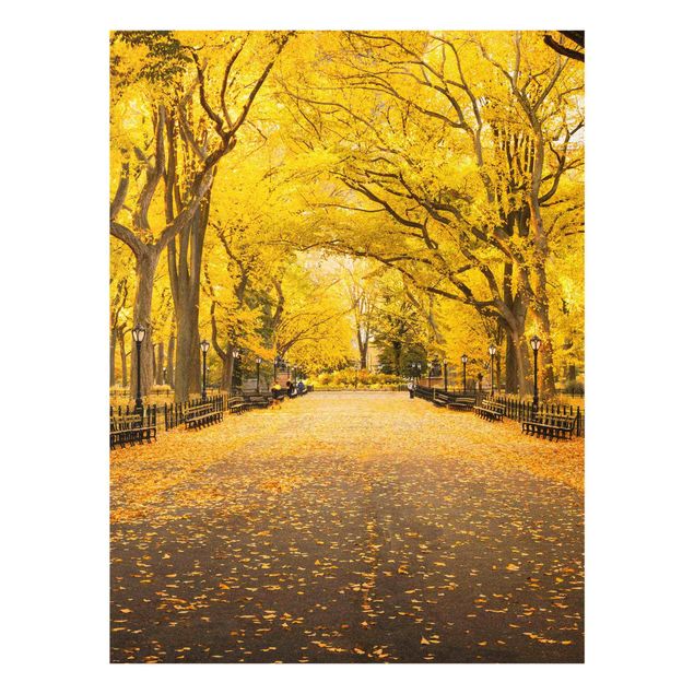 Glasbild - Herbst im Central Park - Hochformat 3:4