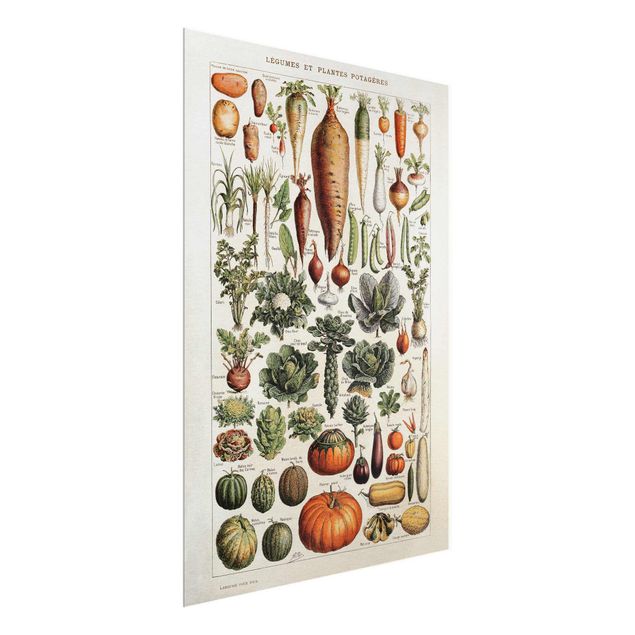 Wandbilder Vintage Lehrtafel Gemüse