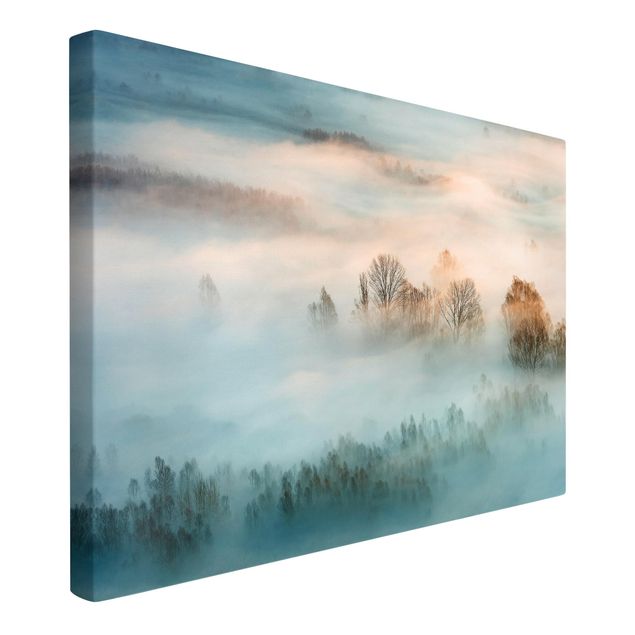 Leinwandbilder Wald Nebel bei Sonnenaufgang