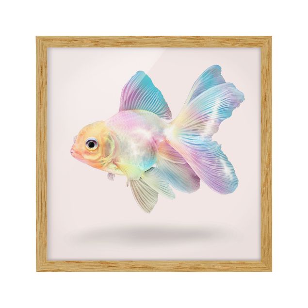 Gerahmte Bilder Fisch in Pastell