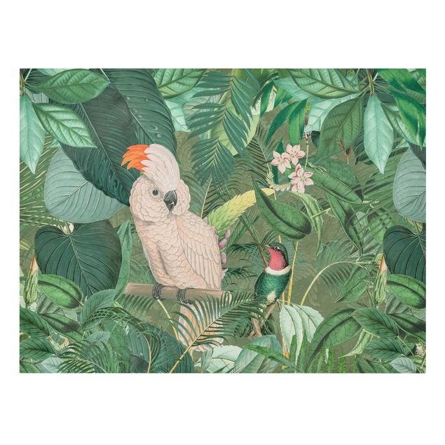 Leinwand Kunstdruck Vintage Collage - Kakadu und Kolibri
