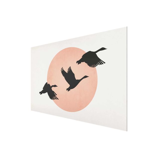 Bilder für die Wand Vögel vor rosa Sonne III