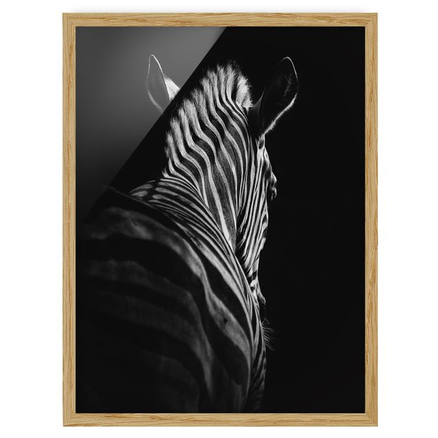 Gerahmte Bilder Dunkle Zebra Silhouette