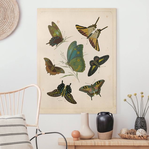 Leinwand Bilder XXL Vintage Illustration Exotische Schmetterlinge