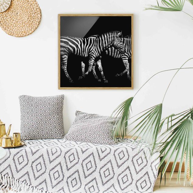 Schwarz-Weiß Bilder mit Rahmen Zebra vor Schwarz