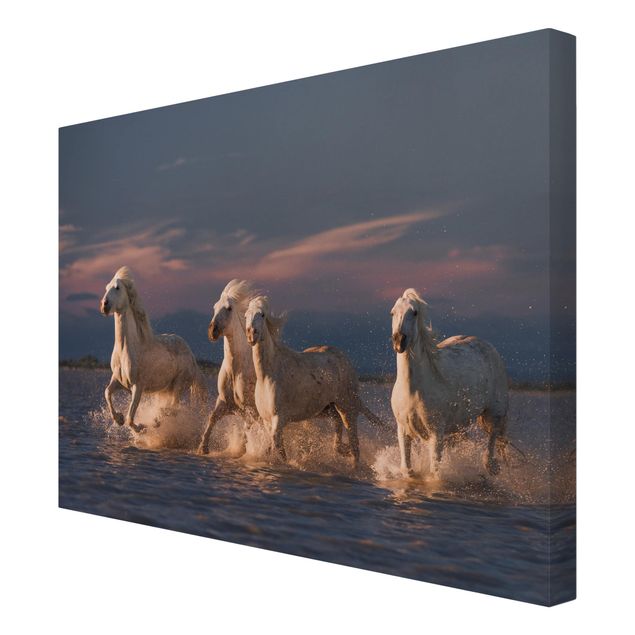Bilder für die Wand Wilde Pferde in Kamargue