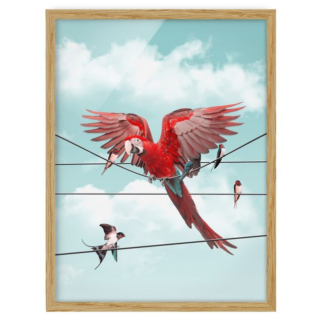 Wandbilder mit Rahmen Himmel mit Vögeln
