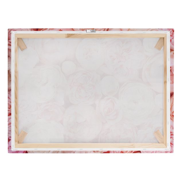 Bilder auf Leinwand Rosen Rosé Koralle Shabby
