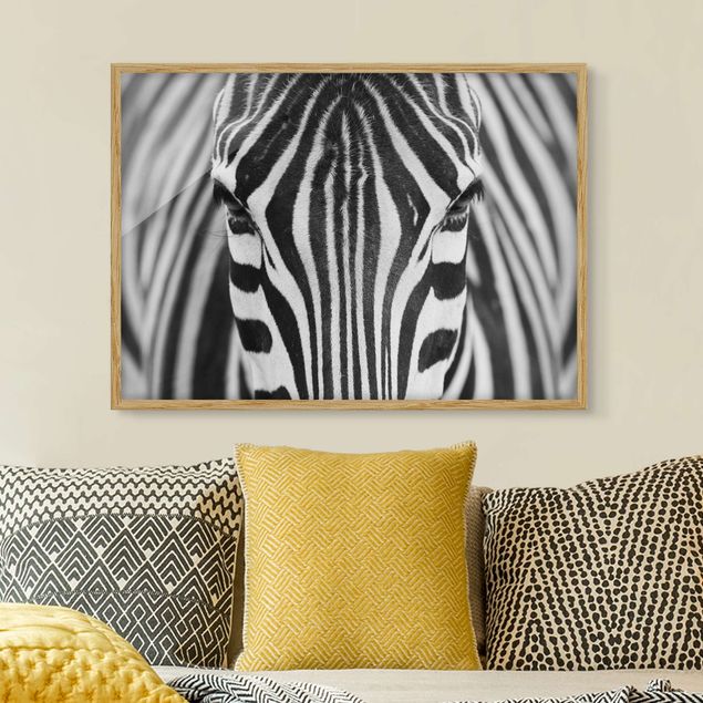 Wandbilder Tiere Zebra Look