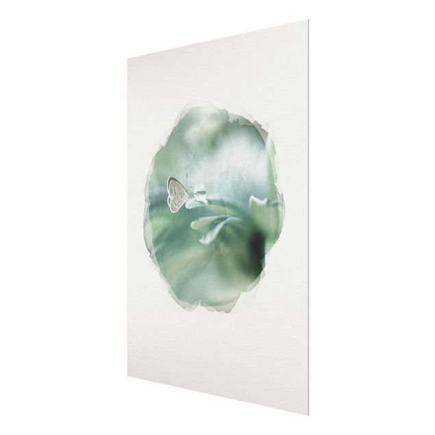Bilder für die Wand Wasserfarben - Schmetterling und Tautropfen in Pastellgrün