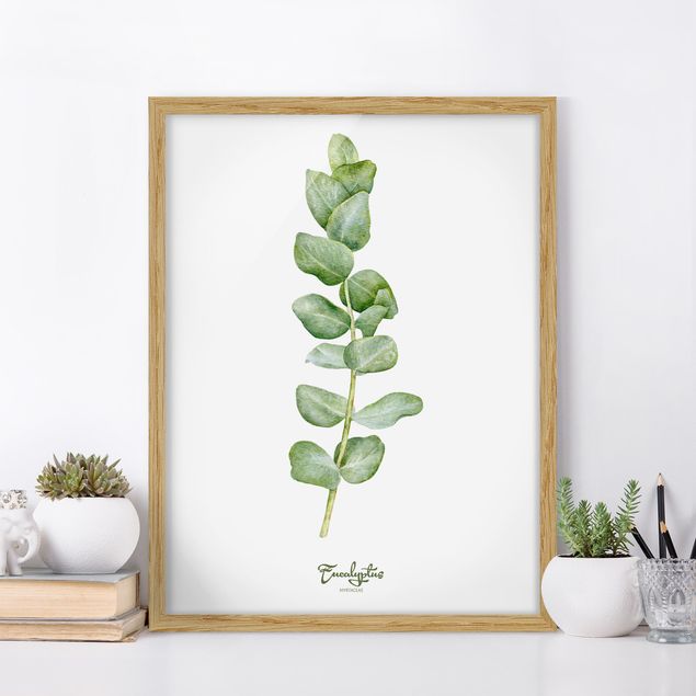 Bilder mit Rahmen Blumen Aquarell Botanik Eukalyptus