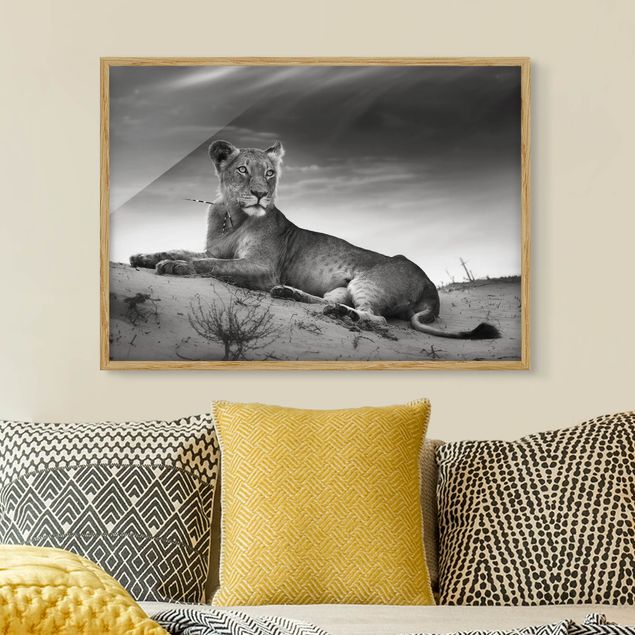 Wandbilder abstrakt Resting Lion