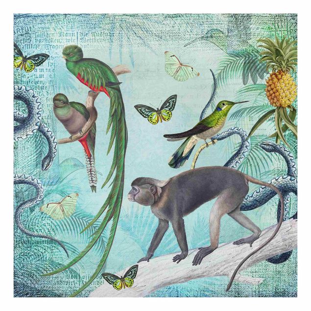 Glasbild Grün Colonial Style Collage - Äffchen und Paradiesvögel