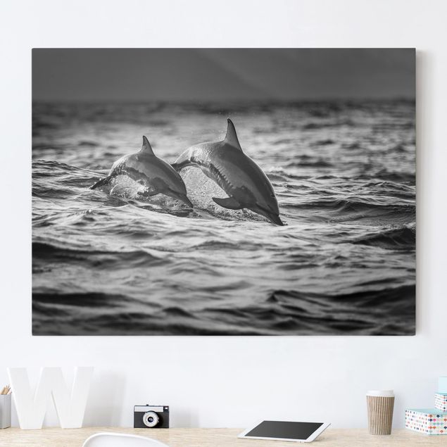 Leinwand Bilder XXL Zwei springende Delfine