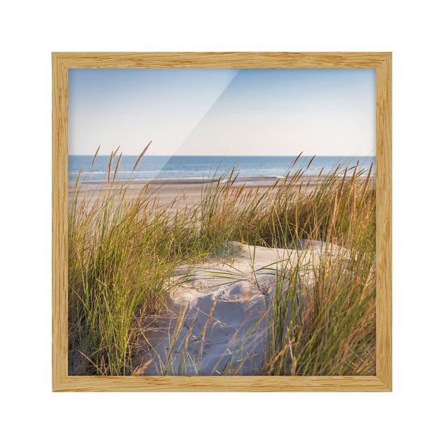 Bild mit Rahmen - Stranddüne am Meer - Quadrat 1:1