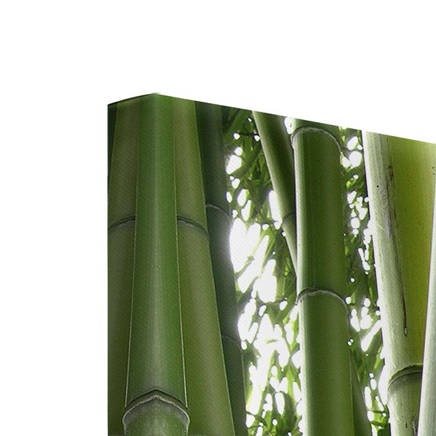 Leinwandbilder Bamboo Trees