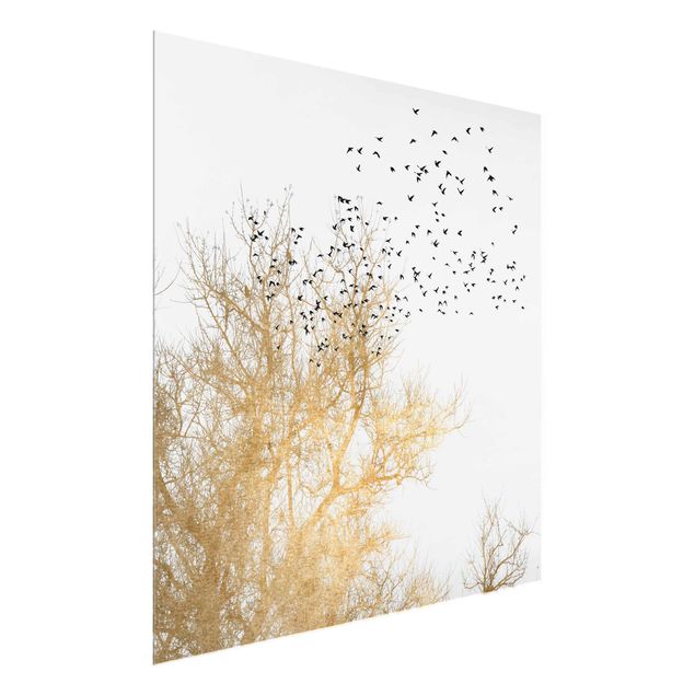 Glasbilder Landschaft Vogelschwarm vor goldenem Baum