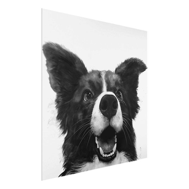 Glasbild - Illustration Hund Border Collie Schwarz Weiß Malerei - Quadrat 1:1