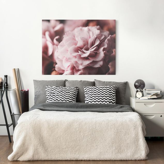 Leinwandbilder Blumen Shabby Rosa Rose Pastell