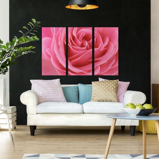 Leinwandbilder Blumen Lustful Pink Rose