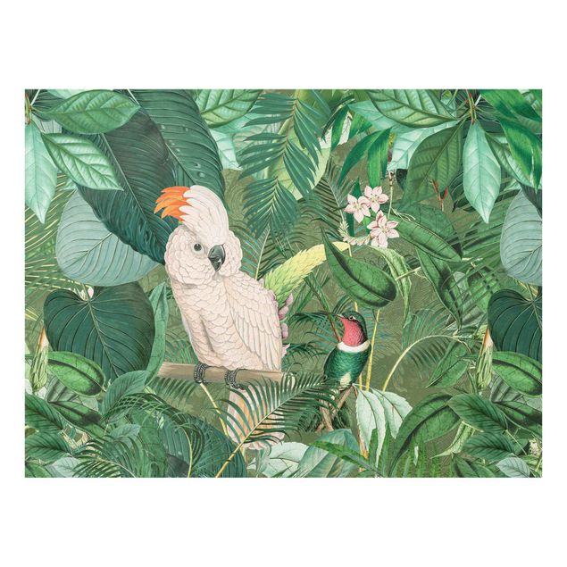 Bilder für die Wand Vintage Collage - Kakadu und Kolibri