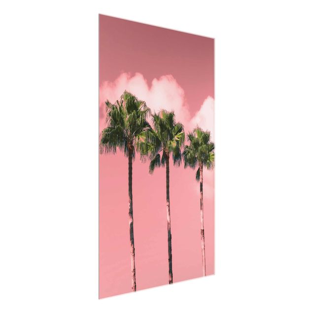 Schöne Wandbilder Palmen vor Himmel Rosa