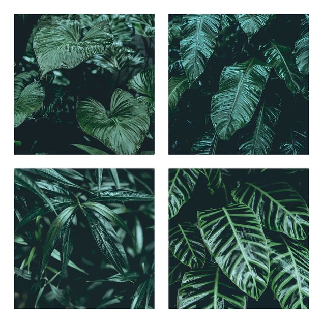Bilder für die Wand Tropische Pflanzen