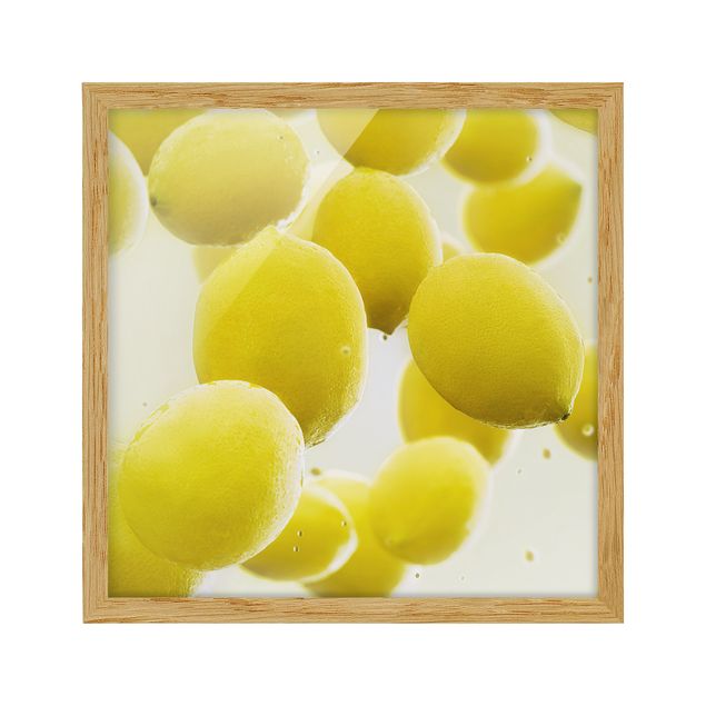 Bild mit Rahmen - Zitronen im Wasser - Quadrat 1:1