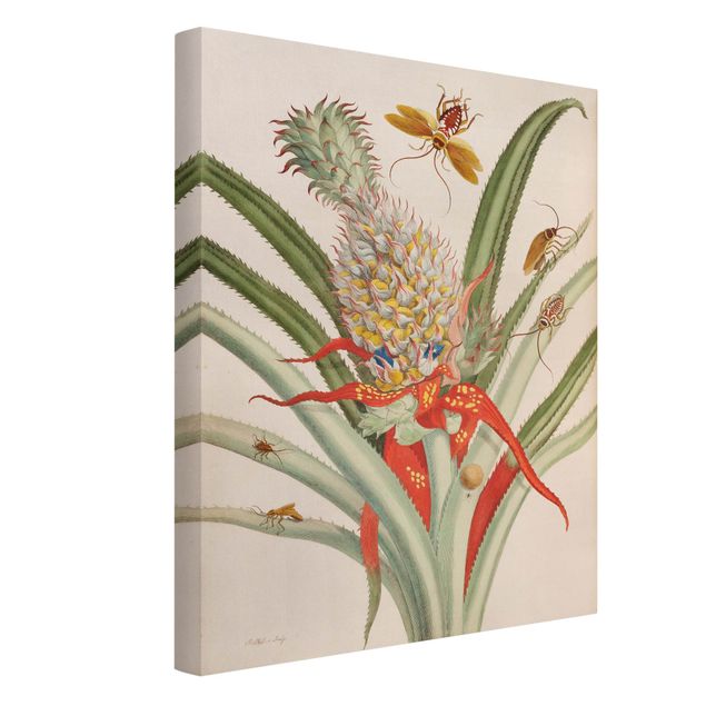 Leinwandbild Kunstdruck Anna Maria Sibylla Merian - Ananas mit Insekten