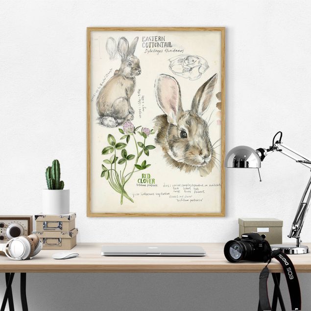 Gerahmte Bilder Blumen Wildnis Journal - Kaninchen