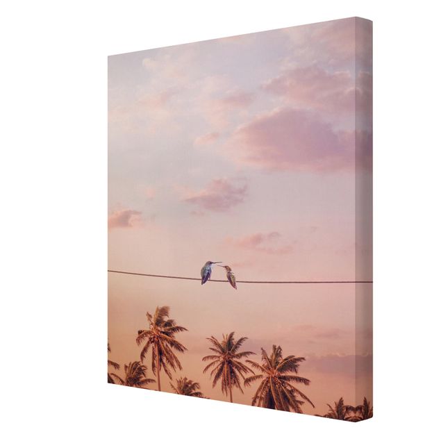 Kunstdrucke auf Leinwand Sonnenuntergang mit Kolibris
