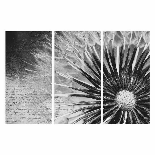 Retro Wandbilder Pusteblume Schwarz & Weiß