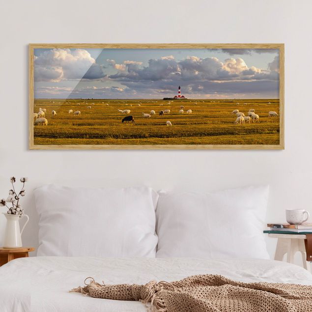 Wandbilder Tiere Nordsee Leuchtturm mit Schafsherde