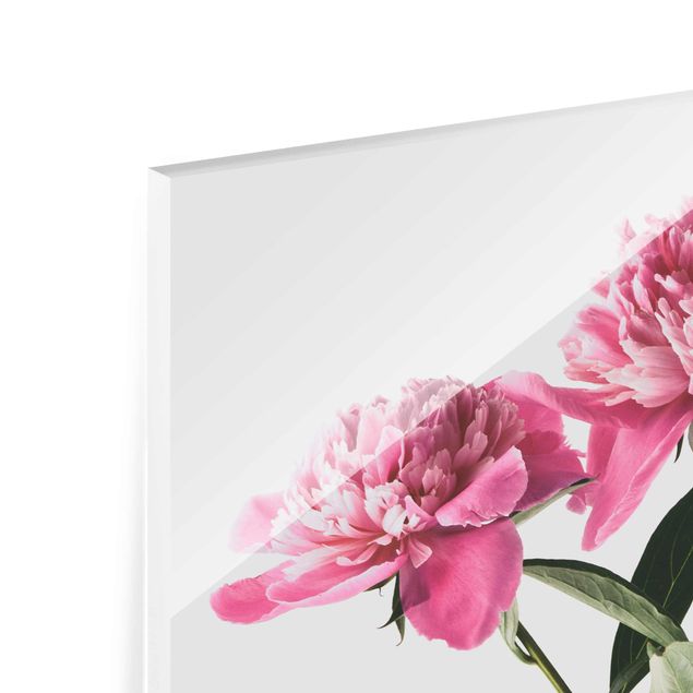 Bilder auf Glas Blüten und Knospen Pink auf Weiß