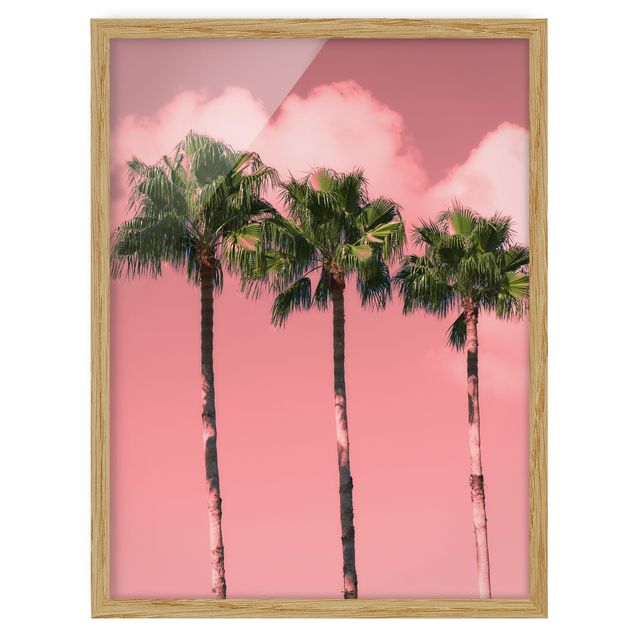 Bilder mit Rahmen Palmen vor Himmel Rosa