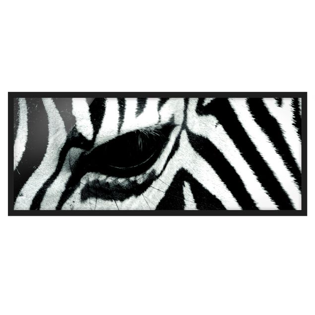 Bilder mit Rahmen Zebra Crossing