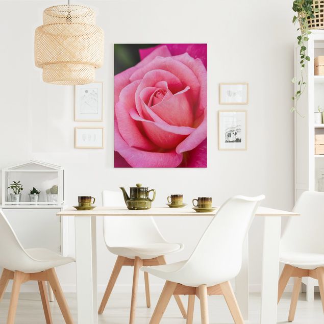 Leinwandbilder Blumen Pinke Rosenblüte vor Grün