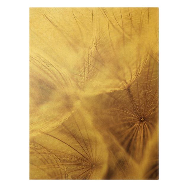 Leinwandbild Gold - Detailreiche Pusteblumen Makroaufnahme mit Vintage Blur Effekt - Hochformat 4:3