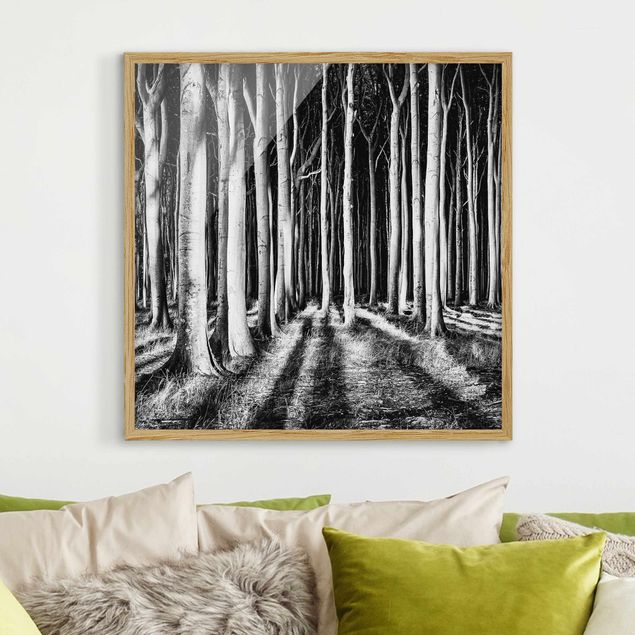 Schwarz-Weiß Bilder mit Rahmen Geisterwald