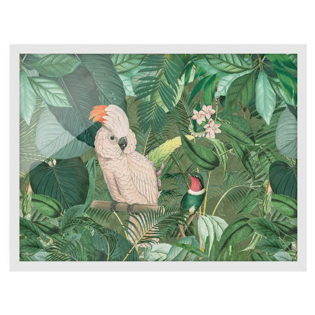Schöne Wandbilder Vintage Collage - Kakadu und Kolibri
