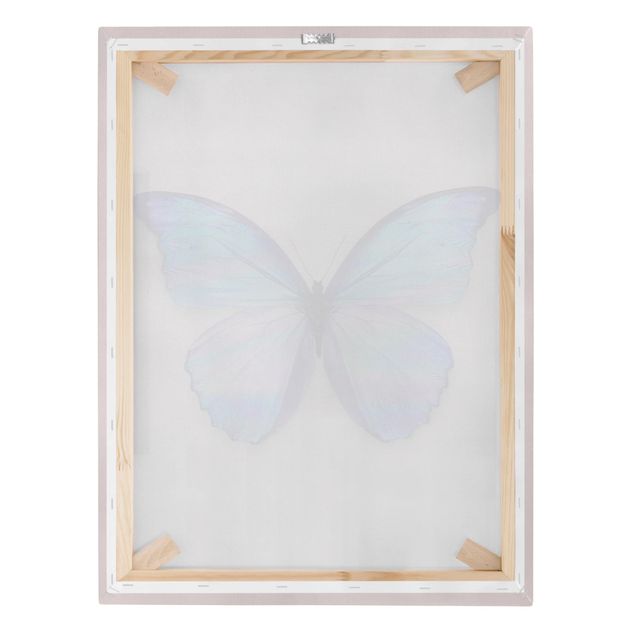 Wandbilder Holografischer Schmetterling
