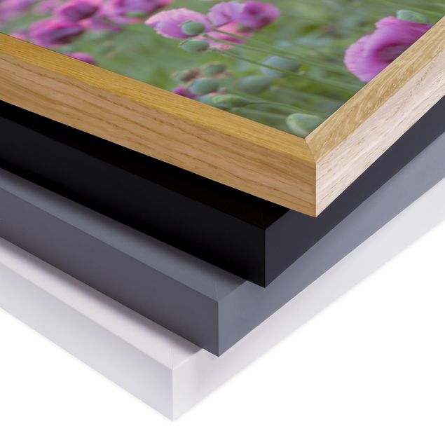 Bild mit Rahmen - Violette Schlafmohn Blumenwiese im Frühling - Querformat 3:4
