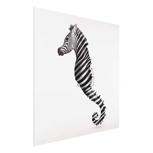 Wandbilder Glas XXL Seepferdchen mit Zebrastreifen