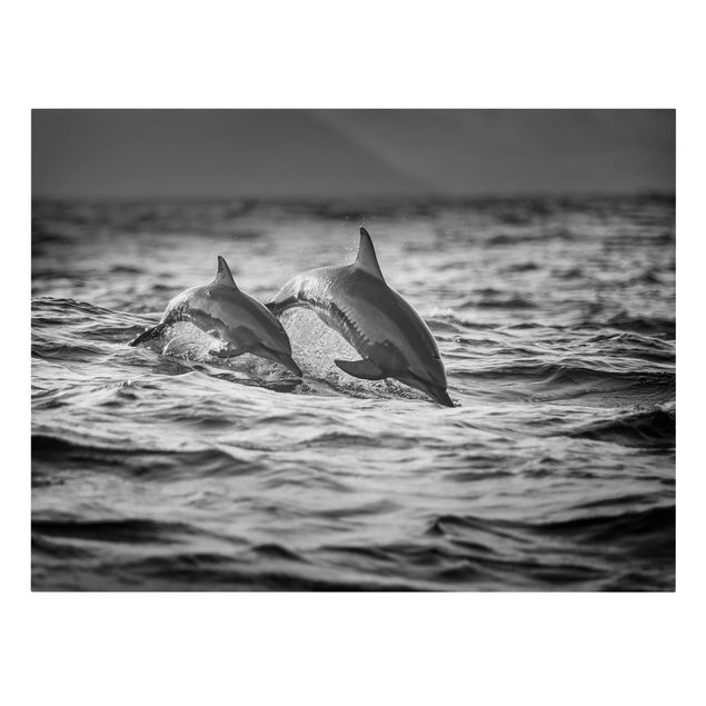 Tierbilder auf Leinwand Zwei springende Delfine
