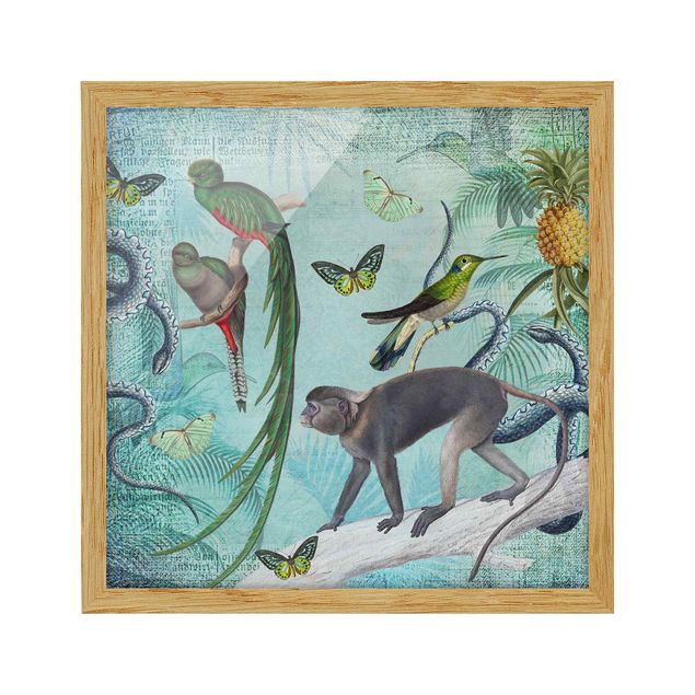 Wandbilder Colonial Style Collage - Äffchen und Paradiesvögel