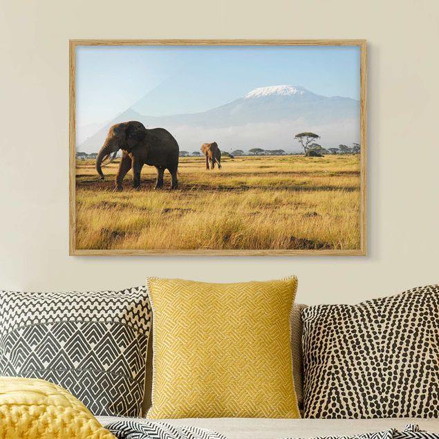 Wandbilder abstrakt Elefanten vor dem Kilimanjaro in Kenia