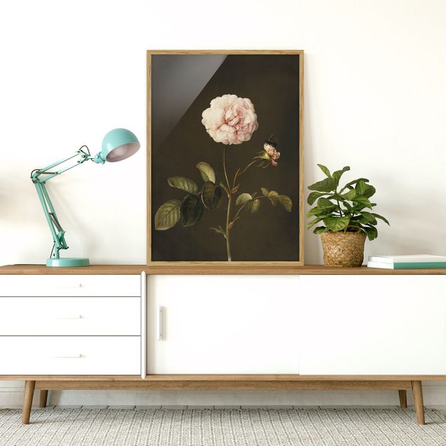 Bilder mit Rahmen Blumen Barbara Regina Dietzsch - Essig-Rose mit Hummel