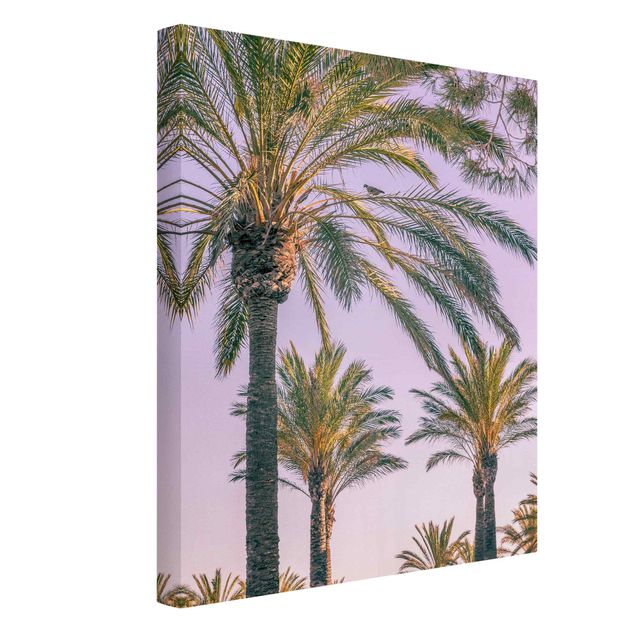 Wandbilder Natur Palmen im Sonnenuntergang
